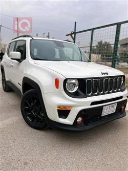 جيب رينيجيد